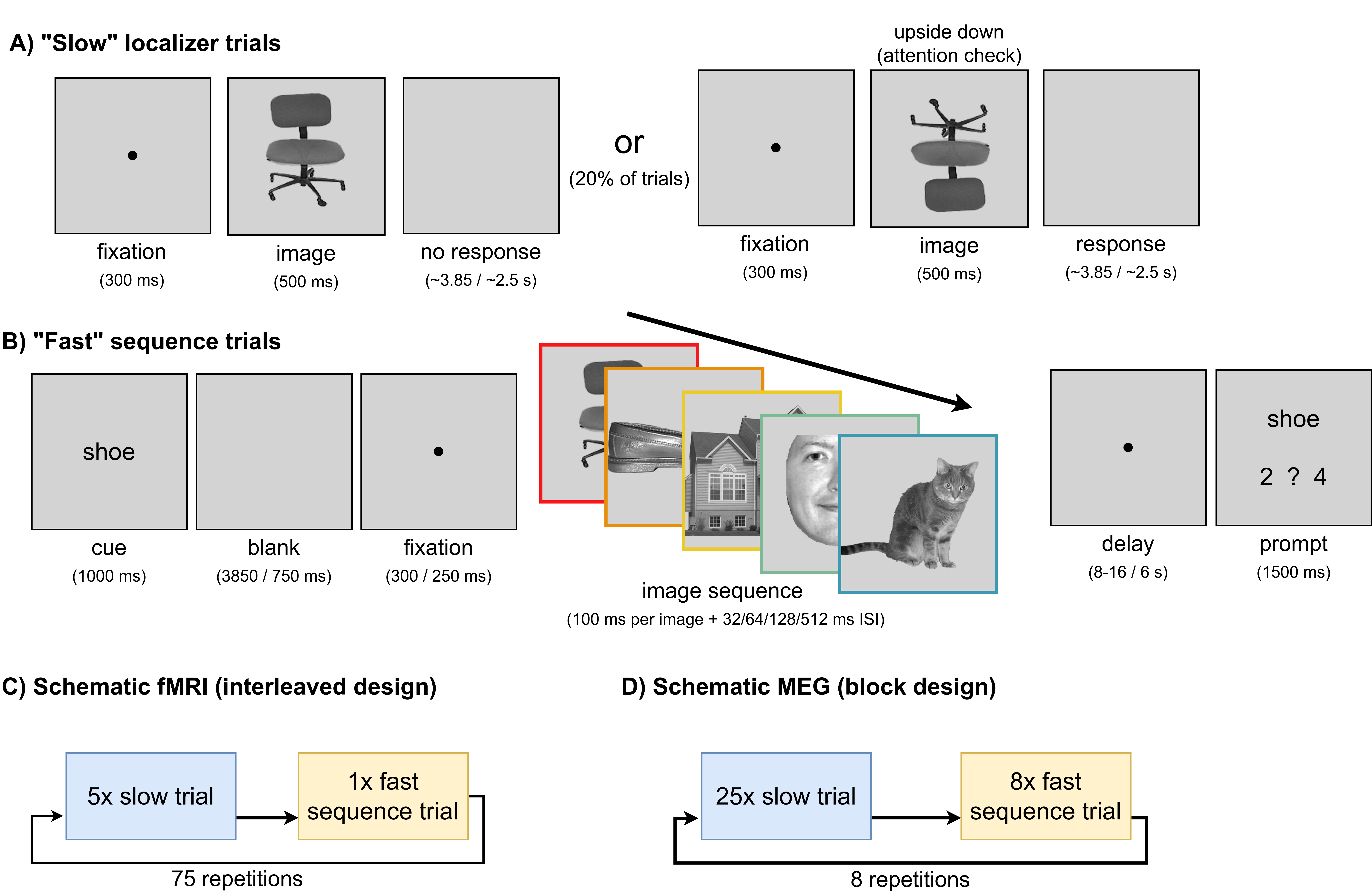 Schematic of the FASTIMAGES paradigm and fMRI/MEG task differences